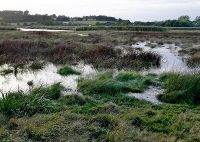 La grande marée de l’automne