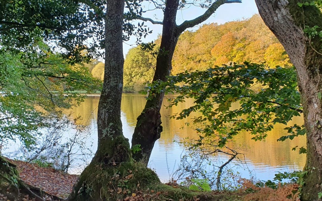 Balades depuis les gîtes Letty du Loch